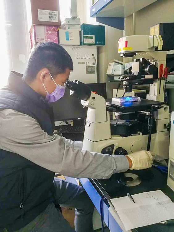 2月10日，动物所郑爱华研究员正在进行新冠病毒疫苗科研攻关实验（动物所）.jpg